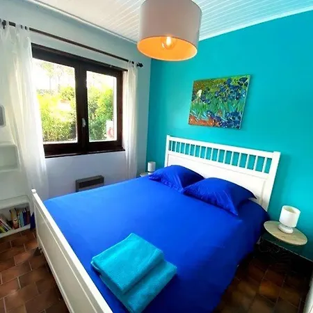 Villa Paisible Avec Piscine Chauffee Et Wi-fi - Fr-1-736-50 Lege-Cap-Ferret