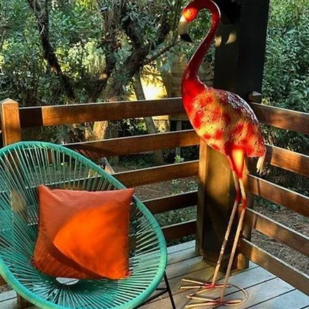 Villa Paisible Avec Piscine Chauffee Et Wi-fi Lège-Cap-Ferret