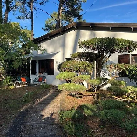 Paisible Avec Piscine Chauffee Et Wi-fi Lège-Cap-Ferret