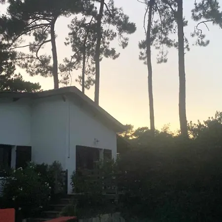 Paisible Avec Piscine Chauffee Et Wi-fi Villa Lège-Cap-Ferret